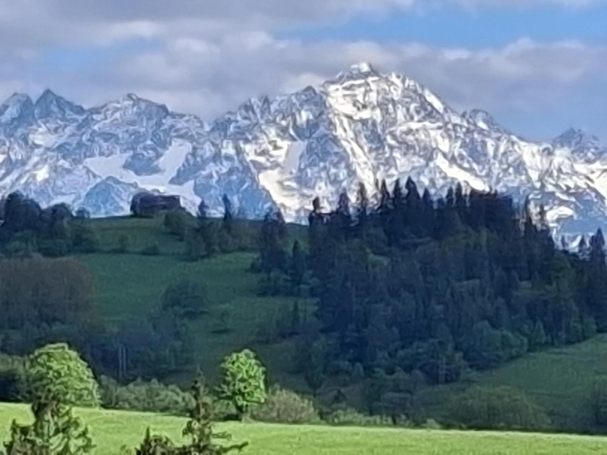 Dom Z Widokiem Na Wierchy - Panorama Na Tatry - Traditional Folk House Gliczarów المظهر الخارجي الصورة