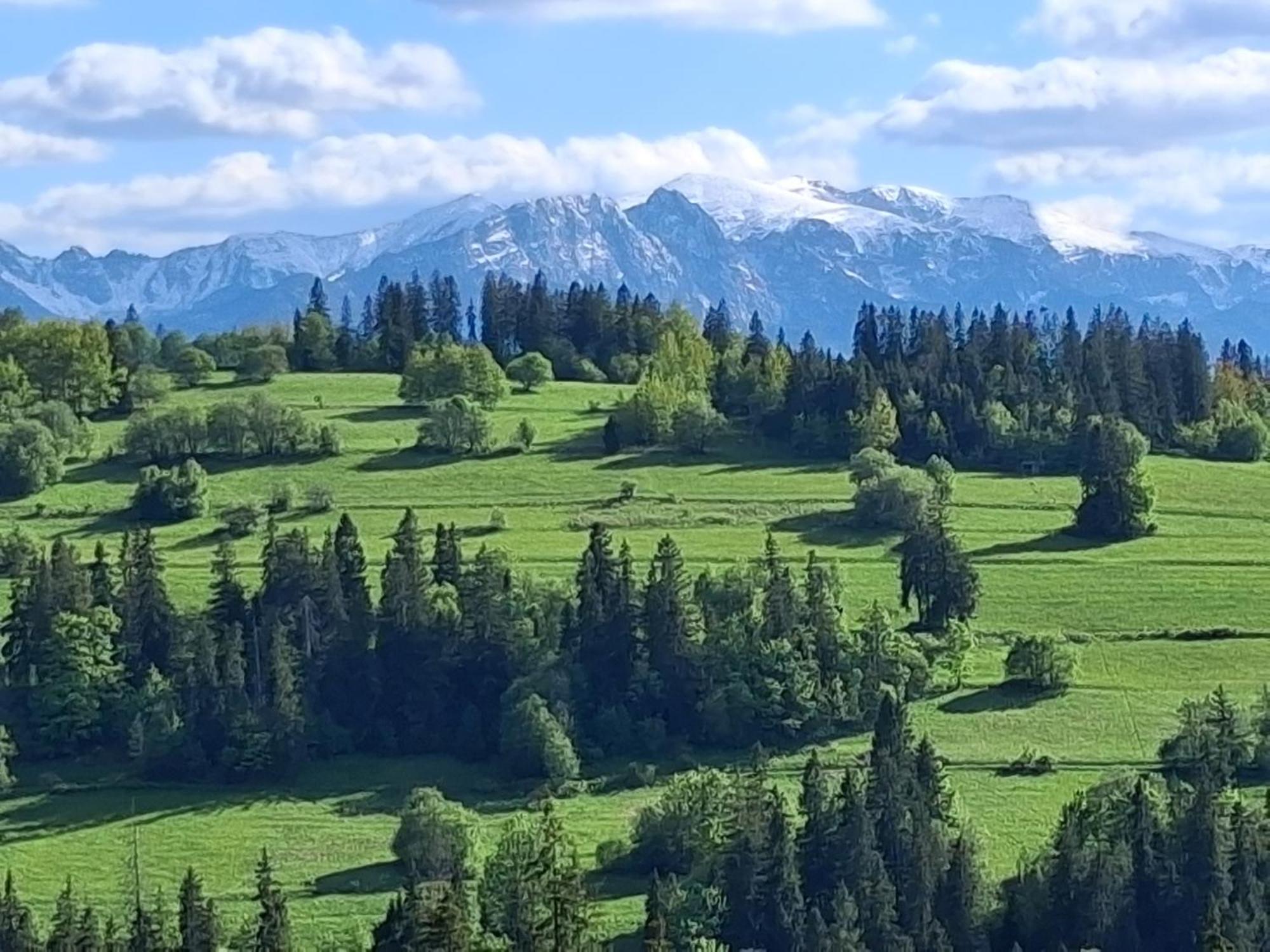 Dom Z Widokiem Na Wierchy - Panorama Na Tatry - Traditional Folk House Gliczarów المظهر الخارجي الصورة