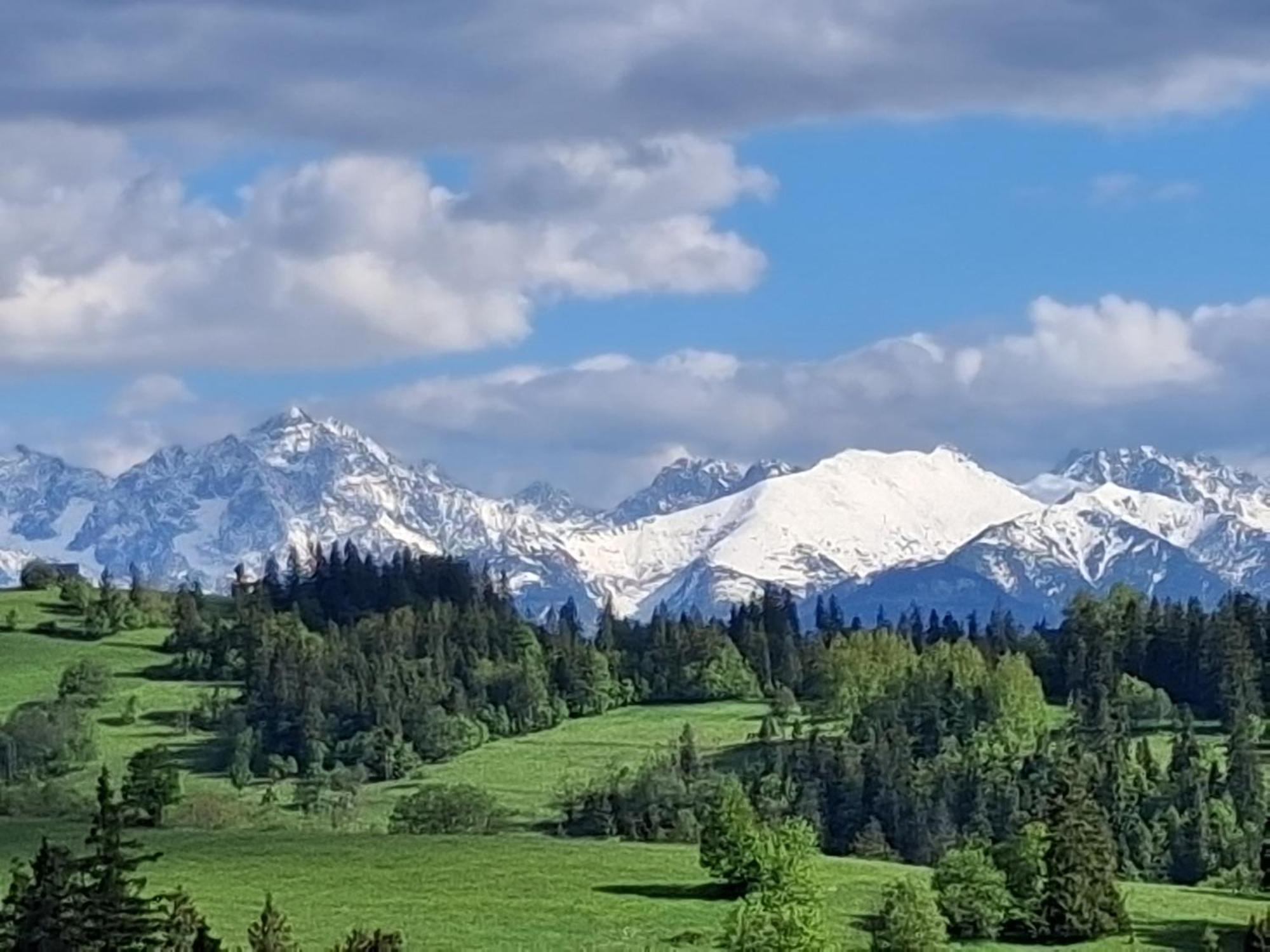 Dom Z Widokiem Na Wierchy - Panorama Na Tatry - Traditional Folk House Gliczarów المظهر الخارجي الصورة