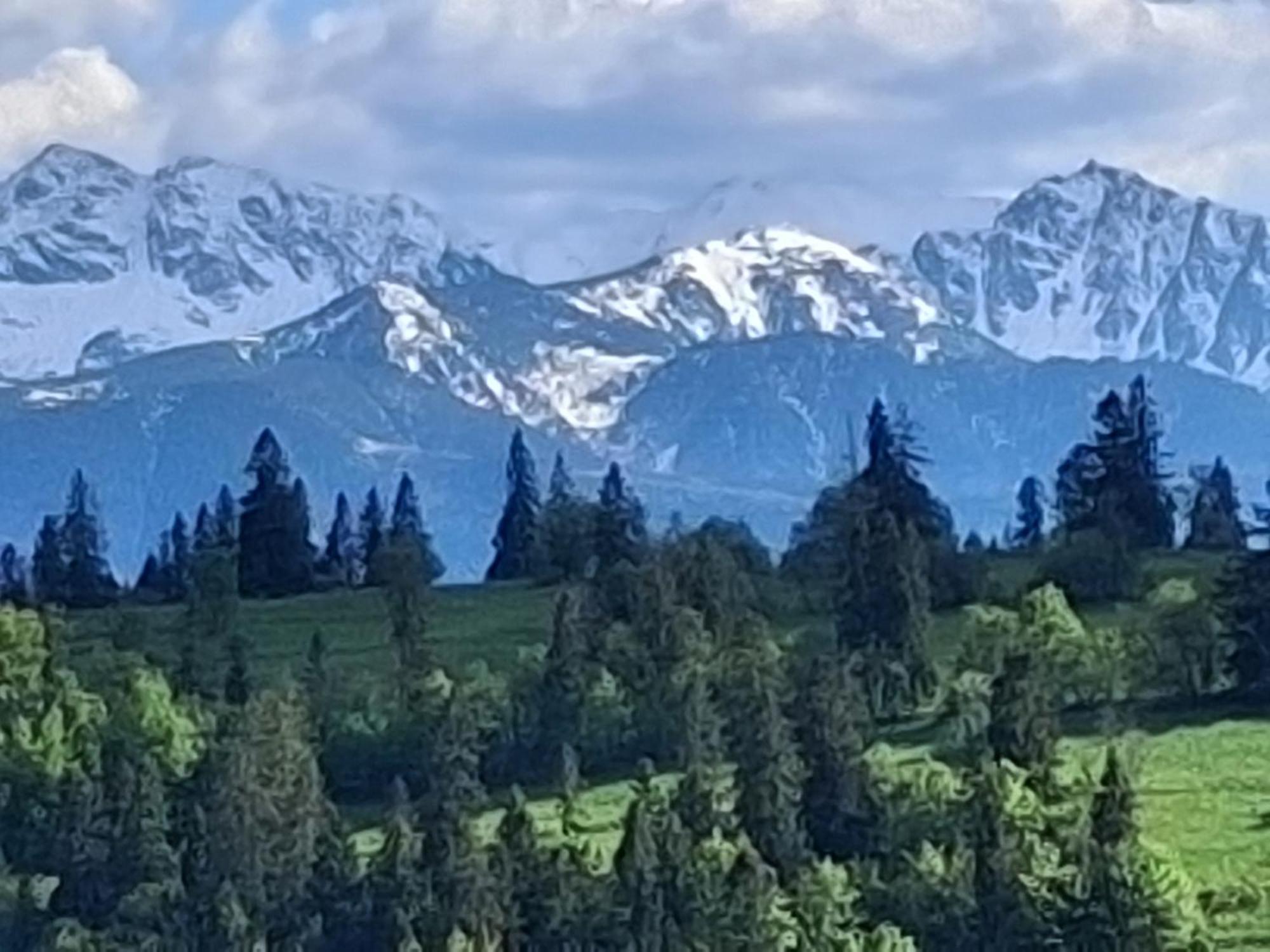 Dom Z Widokiem Na Wierchy - Panorama Na Tatry - Traditional Folk House Gliczarów المظهر الخارجي الصورة
