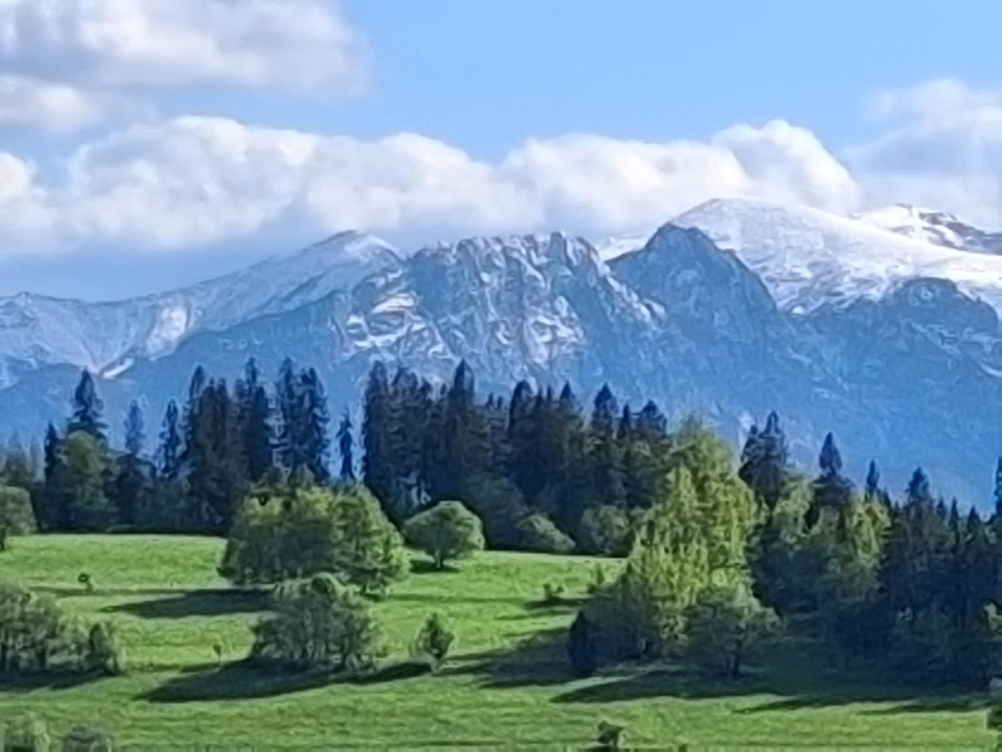 Dom Z Widokiem Na Wierchy - Panorama Na Tatry - Traditional Folk House Gliczarów المظهر الخارجي الصورة